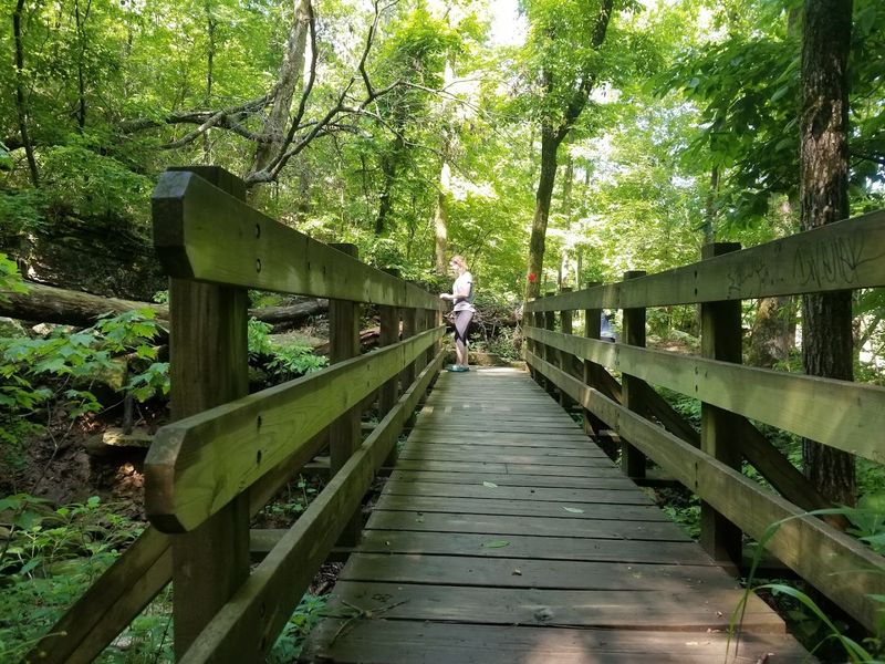 Safety, Creek Crossings, and Footing