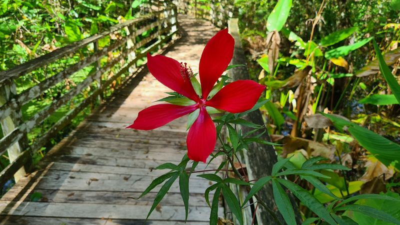 Accessibility and Family-Friendly Features