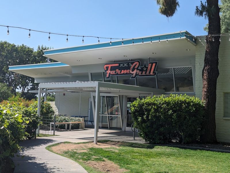 Architectural Vibes and Patio Comfort