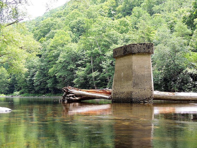 Wildlife, Fishing, and Leave No Trace