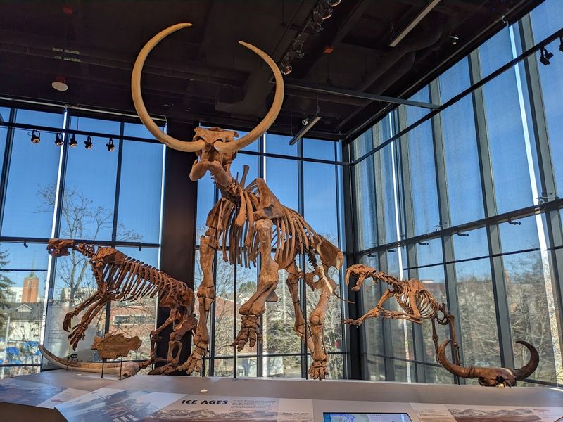 Burke Museum of Natural History and Culture - Seattle, WA