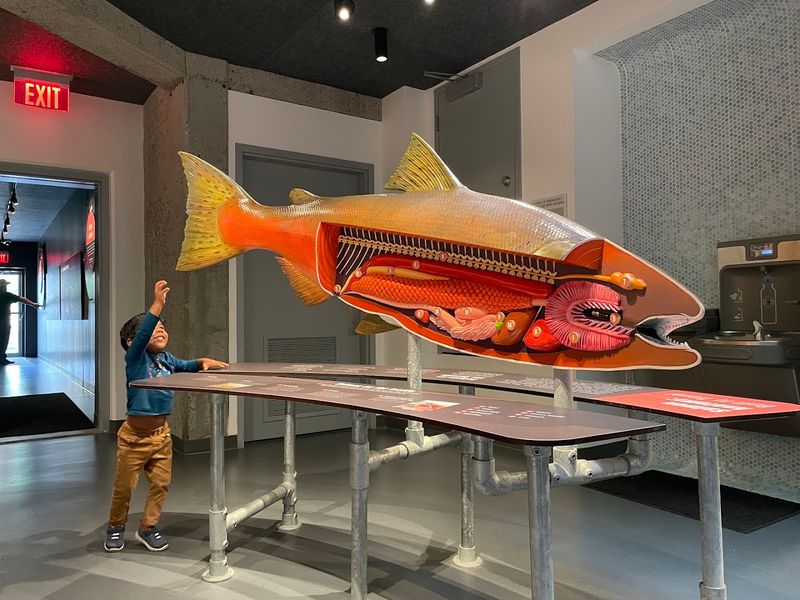 Rocky Reach Dam Discovery Center - Wenatchee, WA