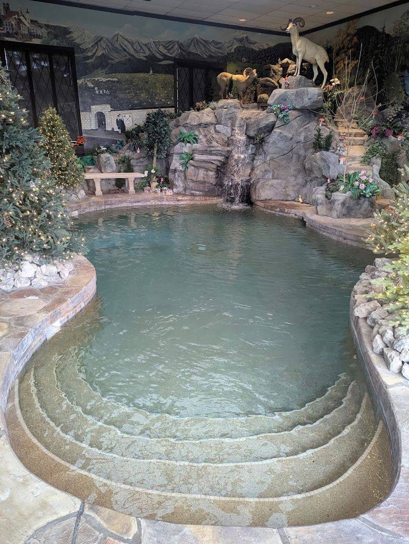 The Cave and Novelty Spaces