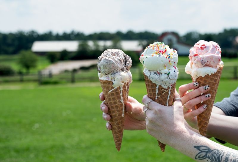 Learning the Story of Howling Cow