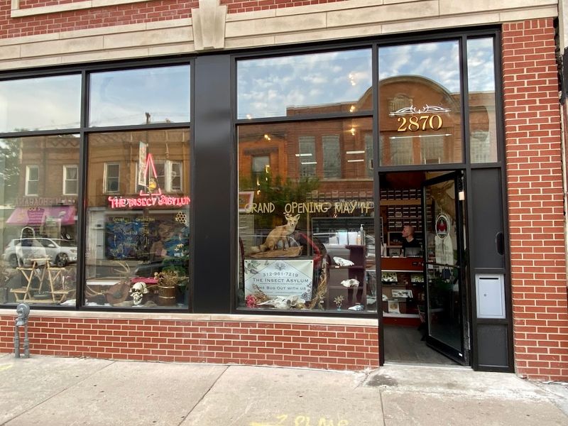 Gift Shop And Local Artist Finds