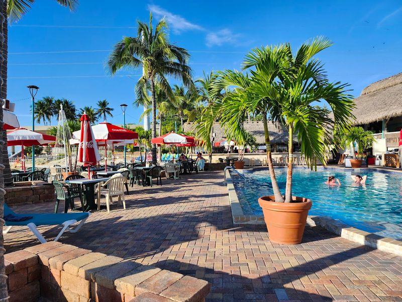 Poolside Vibes Without Missing Lunch
