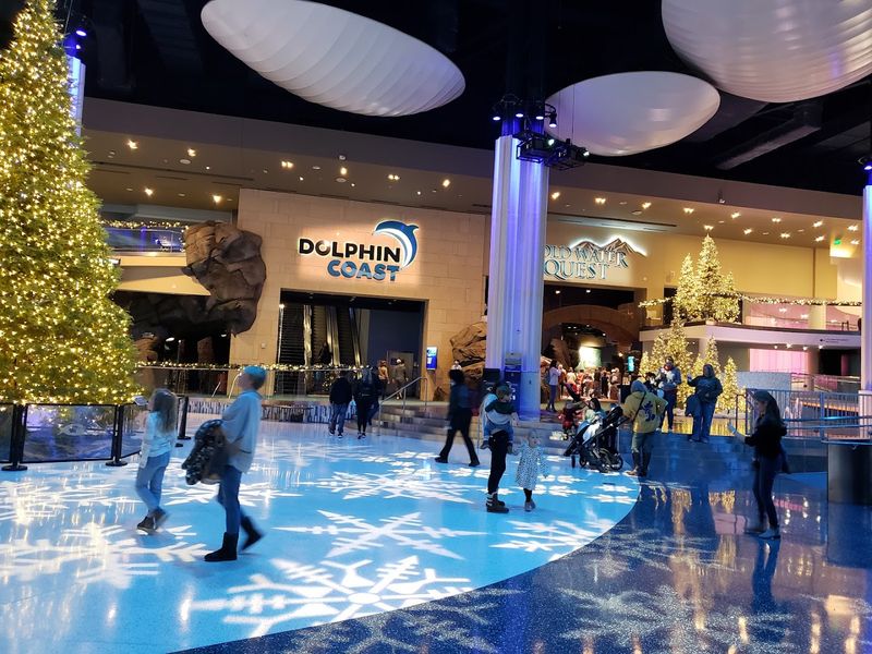 Live Shows and Animal Encounters