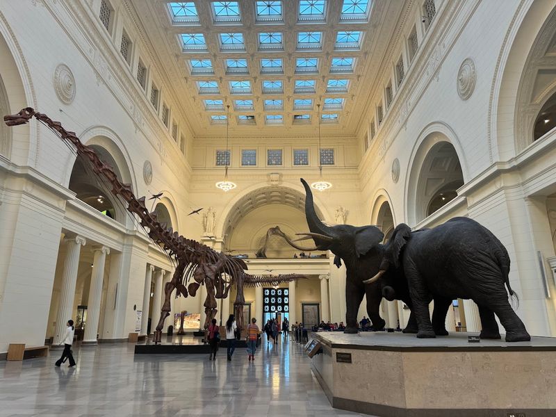 The Field Museum of Natural History (Chicago)