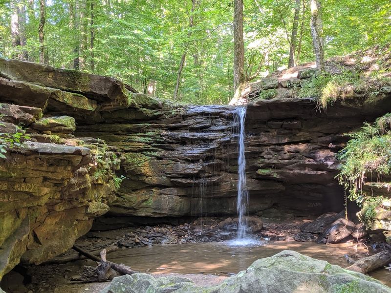 Dundee Falls (Beach City Wildlife Area)