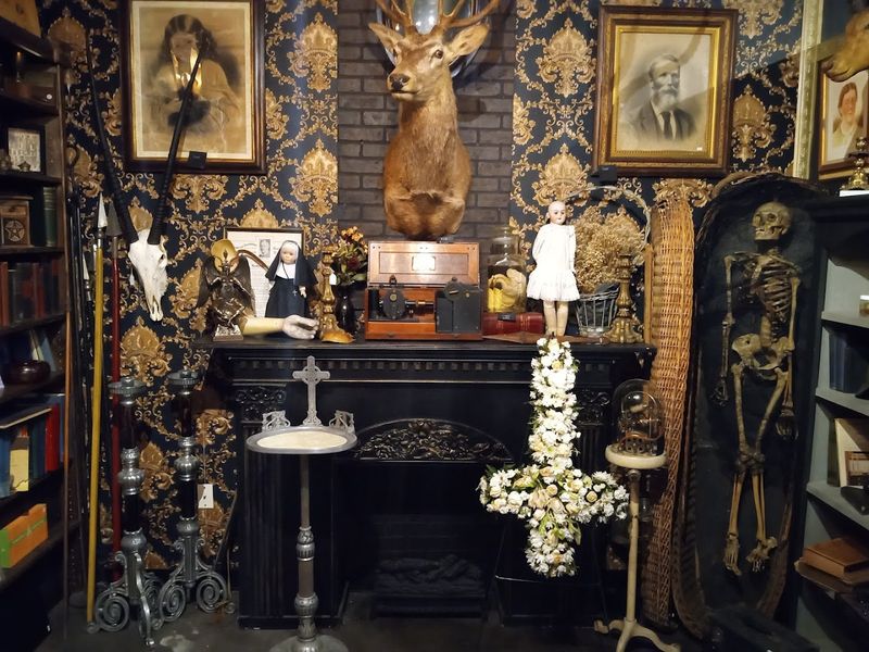 A Gothic Aesthetic That Sets the Mood