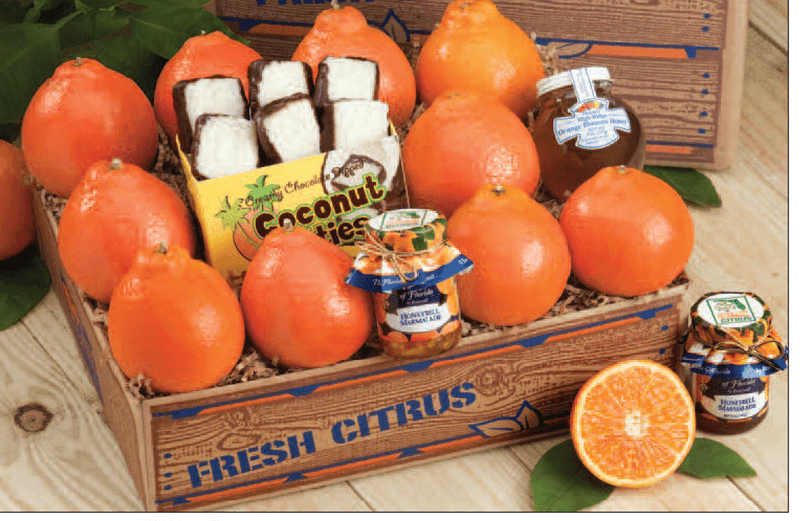 Photo And Picnic Plans