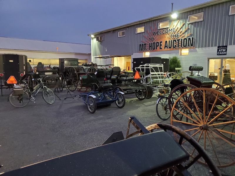 Mt. Hope Auction, Ohio