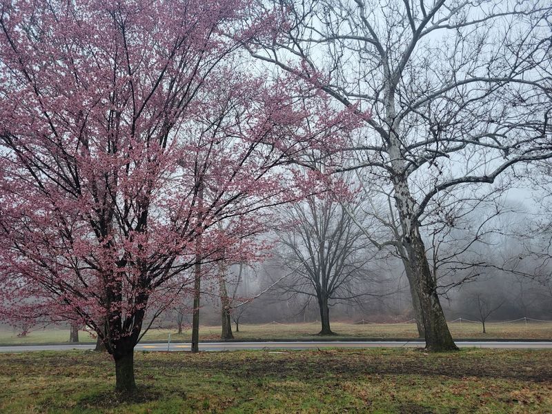 Kelly Drive & Schuylkill River Trail &ndash; Philadelphia