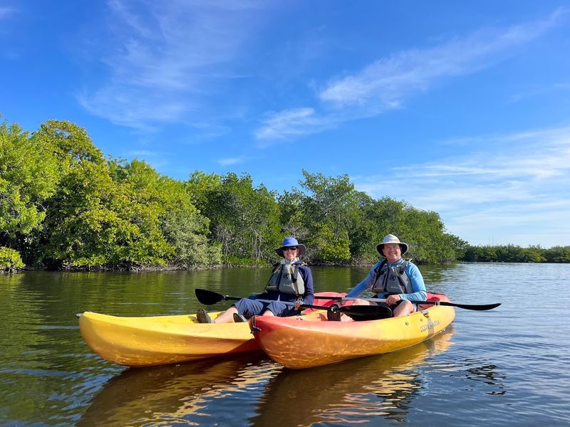 Kayaking the Thousand Islands Mangrove Tunnels