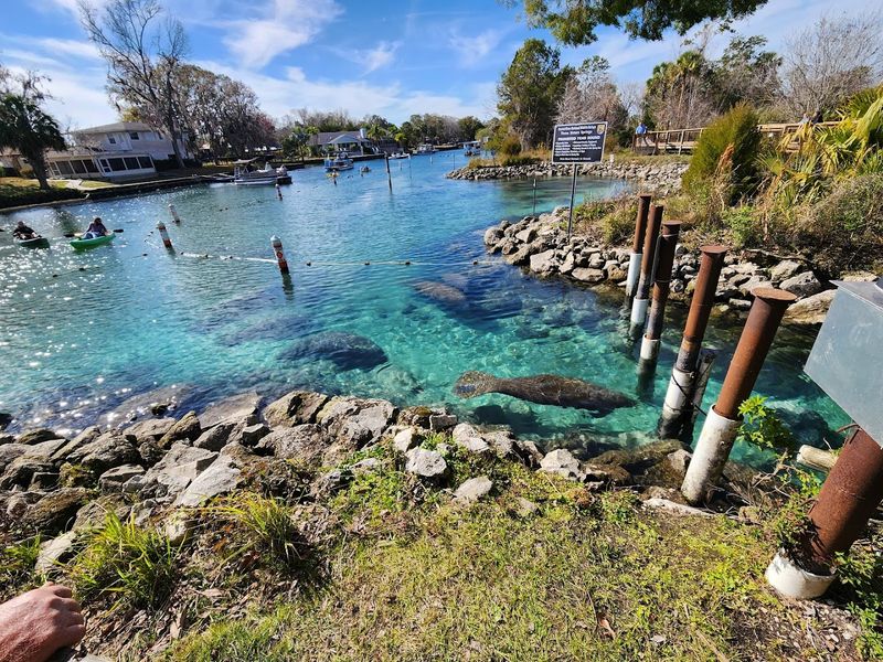 Admission, Pricing, and Visitor Tips