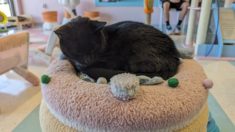 Booking Tickets Without Stress