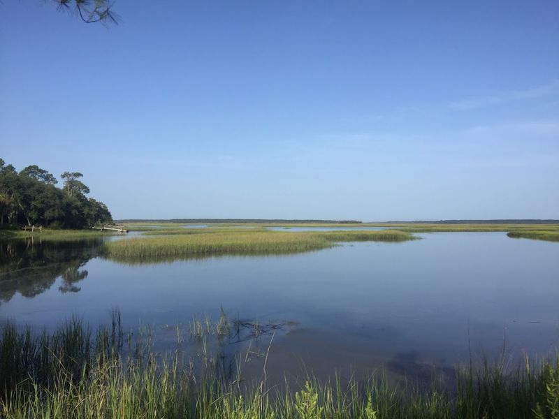 Explore the Marshes of Glynn