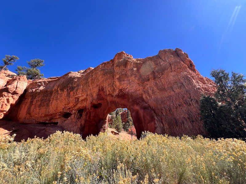 Road Trip Scenic Byway 12 and the Burr Trail