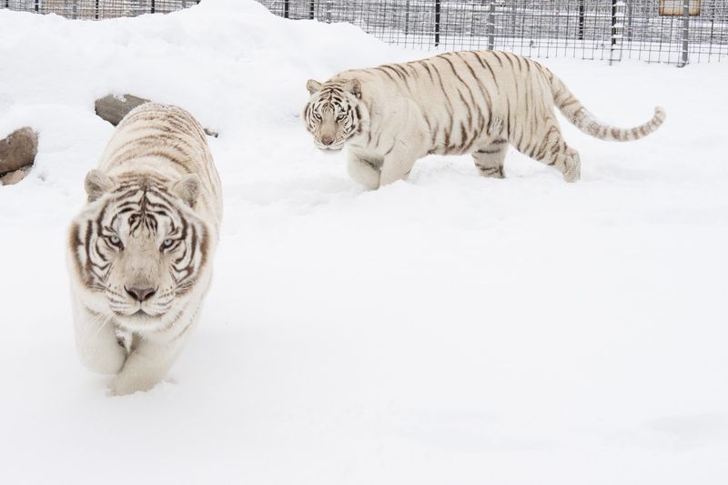 Your Stay Directly Feeds the Mission