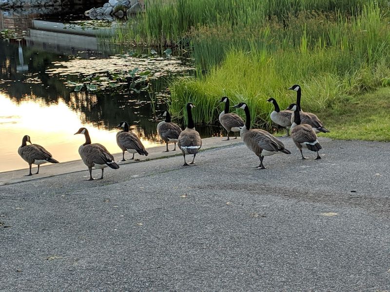 Wildlife and Birdwatching Opportunities