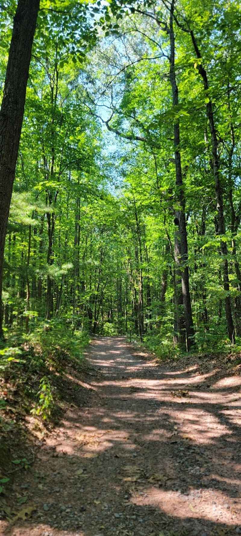 Mid State Trail (Sections) - Central PA