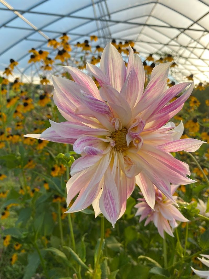 Logistics: Getting There and Making It Easy