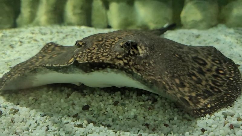 Timing Your Visit Like a Local