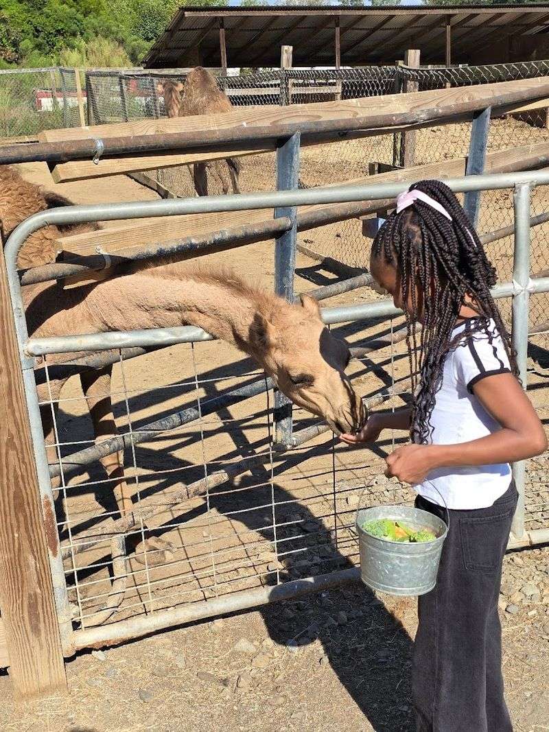 Educational and Fun for All Ages