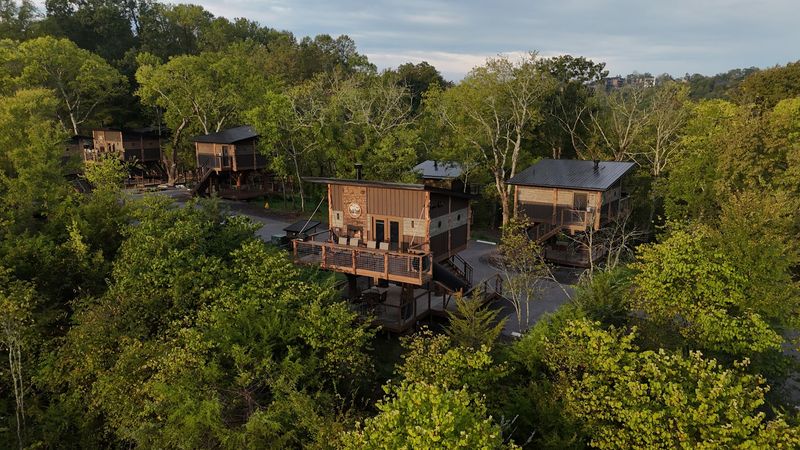 Best Treehouses For Different Travelers