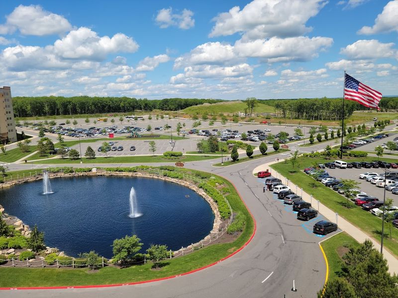 Logistics: Getting There and Getting Settled