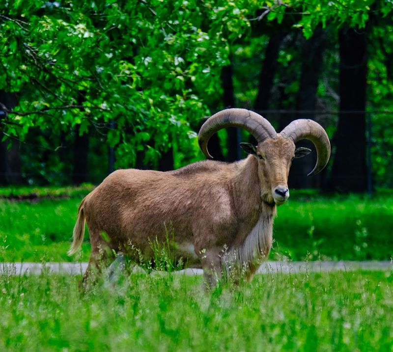 Best Times To Visit And Beat The Crowds