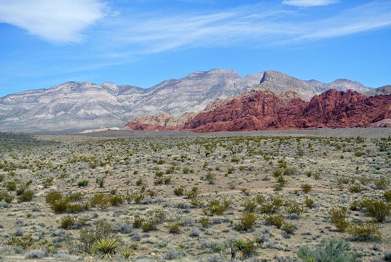 Moenkopi Trail (Red Rock Canyon National Conservation Area)