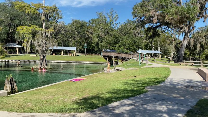 Scenic Boardwalks Through Ancient Cypress Forest