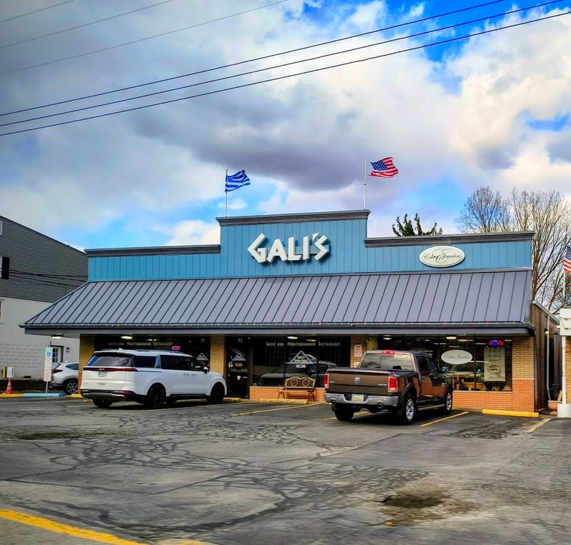 Gali's Gyro and Grill (Pittsburgh)