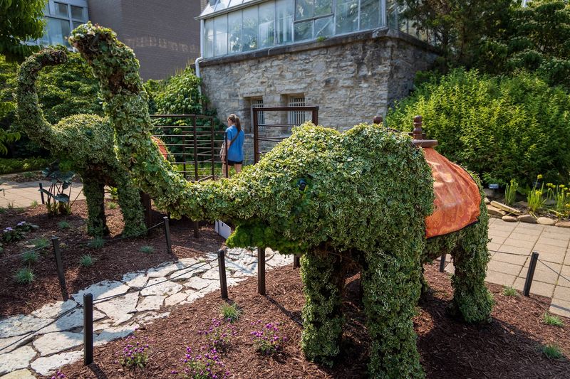 Essential Visitor Info Before You Go