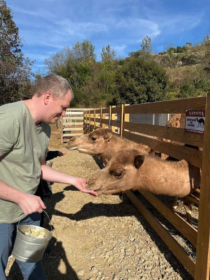 Meet Rescued and Unique Animals