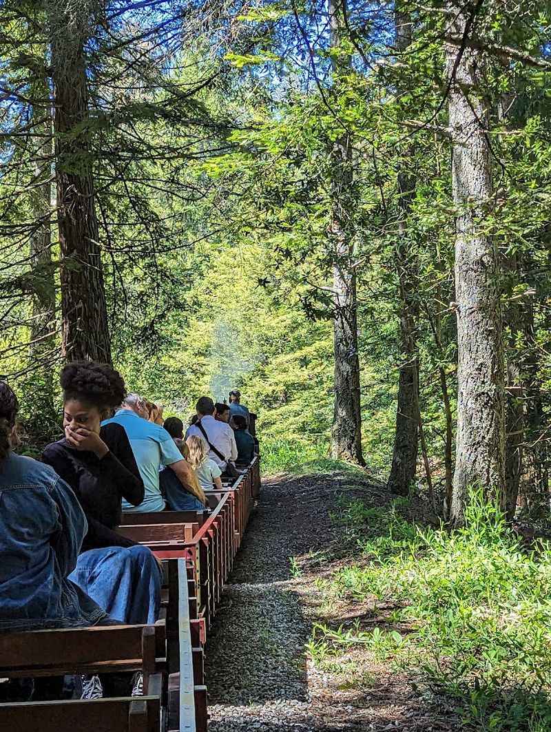 The Scenic Ridge Location Inside Tilden Regional Park