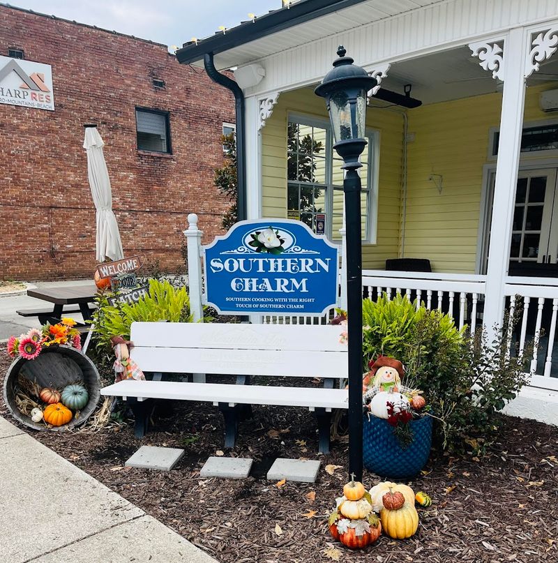 Visitor Information and Tips