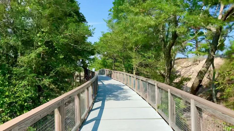 Easy Terrain for a Relaxed Adventure