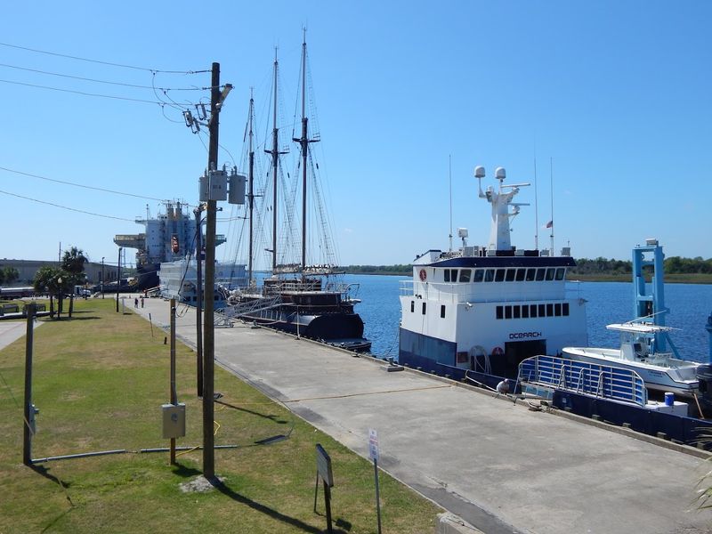 Stroll Along the Shrimp Docks at Mary Ross Waterfront Park