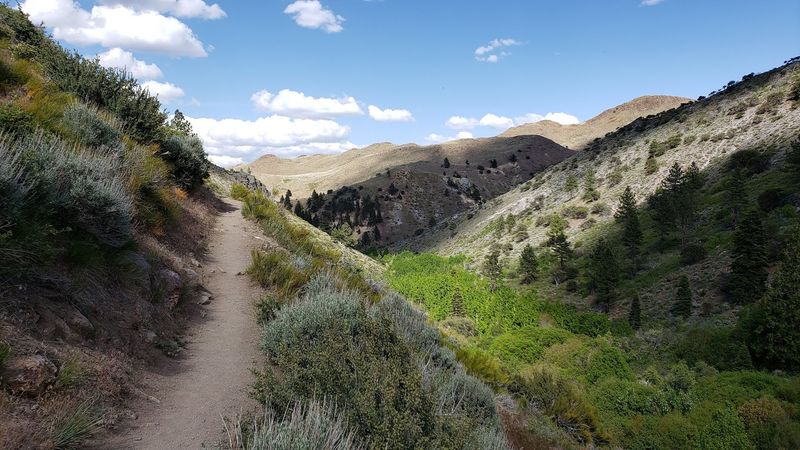 Hunter Creek Trail (Humboldt-Toiyabe National Forest)