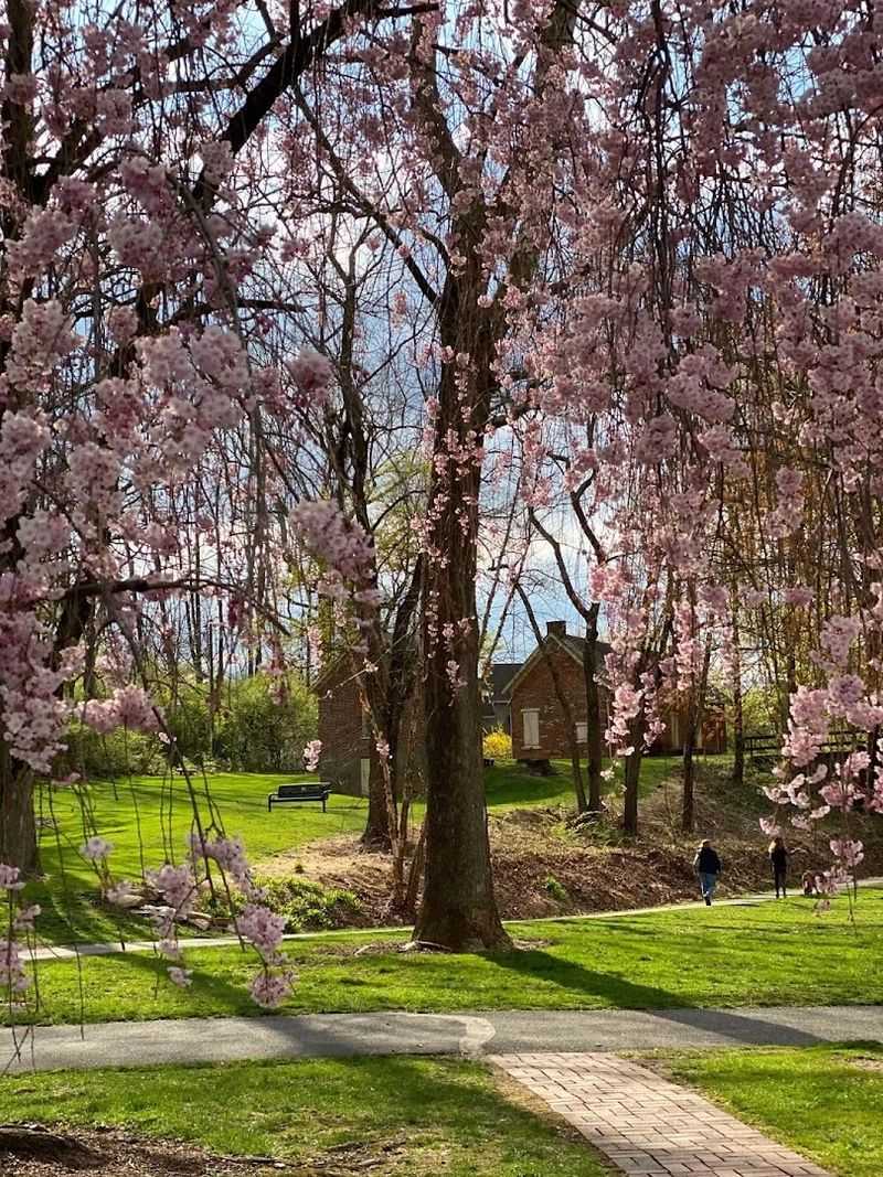 Essential Visitor Information for Your Trip to Lock Ridge