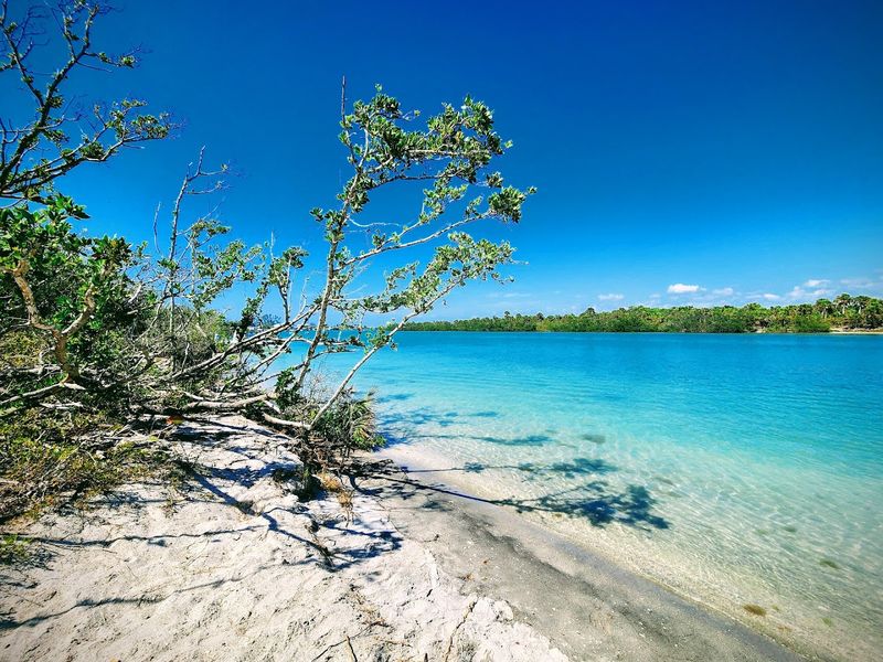 Stump Pass Beach State Park, Englewood