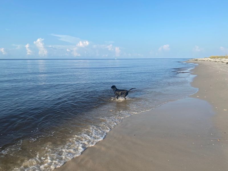 Alligator Point Beach
