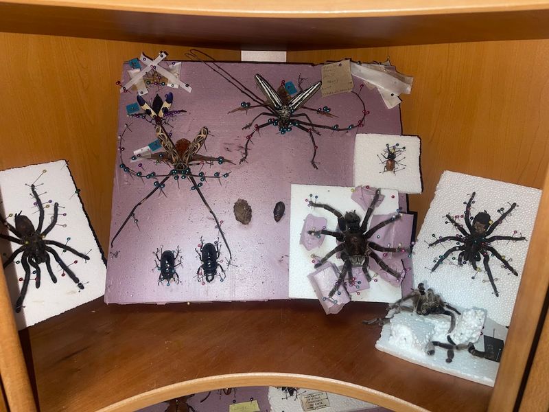 Why It Feels Creepy And Comforting At Once