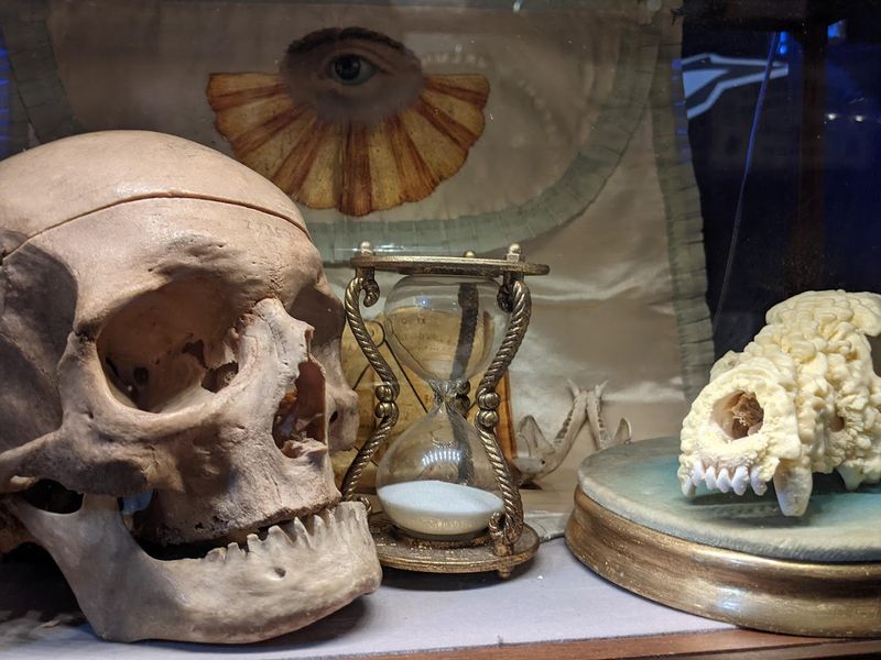 Rotating Galleries Keep Every Visit Fresh