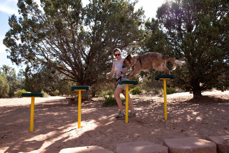 Beyond Sleepovers: Tours, Hiking, and Animal Outings