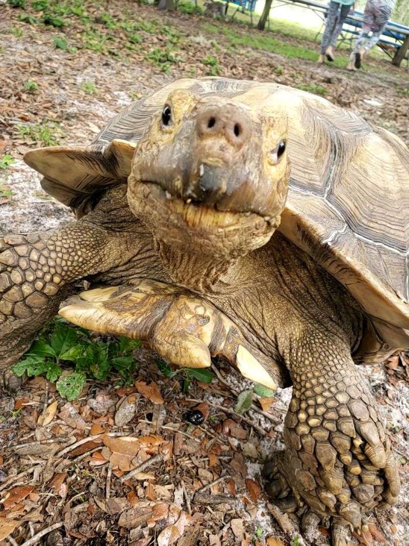 Accessibility, Heat, and Group Comfort