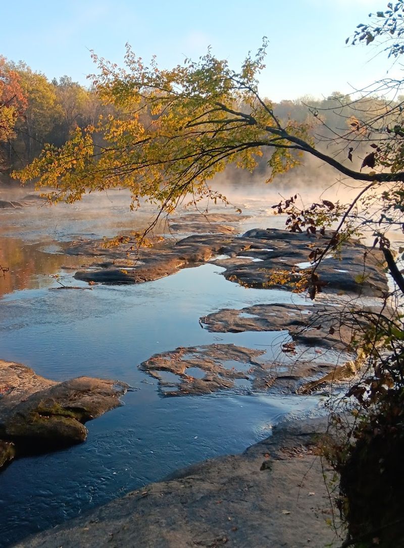 Forest to Bluff: Changing Scenery Along the Trail