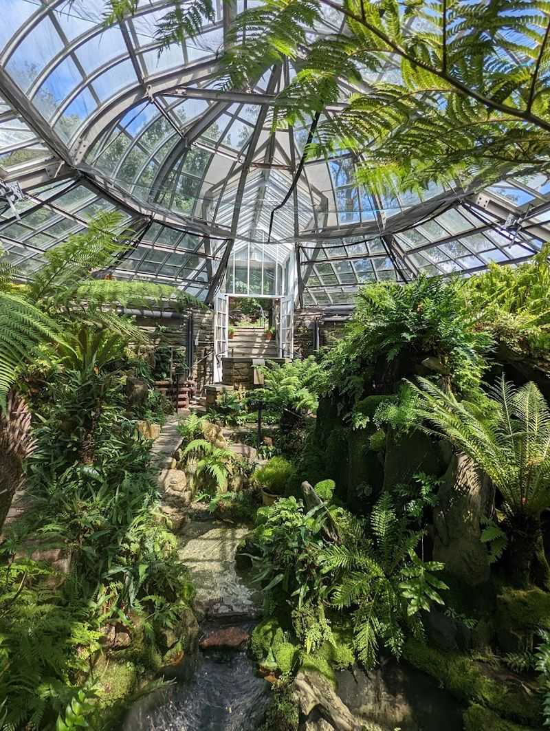 The Fernery: A Victorian Greenhouse Frozen in Time